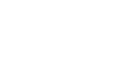 Logo Above Food Ingredients Inc. Common Stock