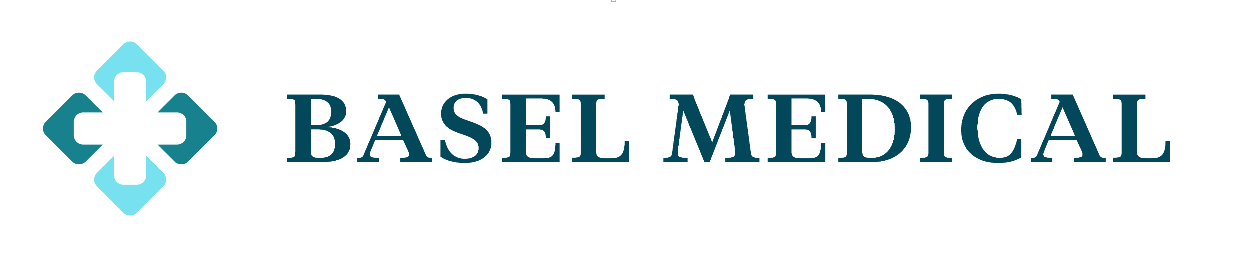 Logo BASEL MEDICAL GROUP LTD
