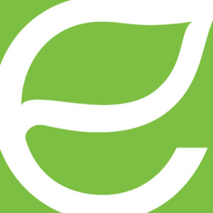 Logo Energy Focus Inc.