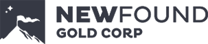 Logo New Found Gold Corp