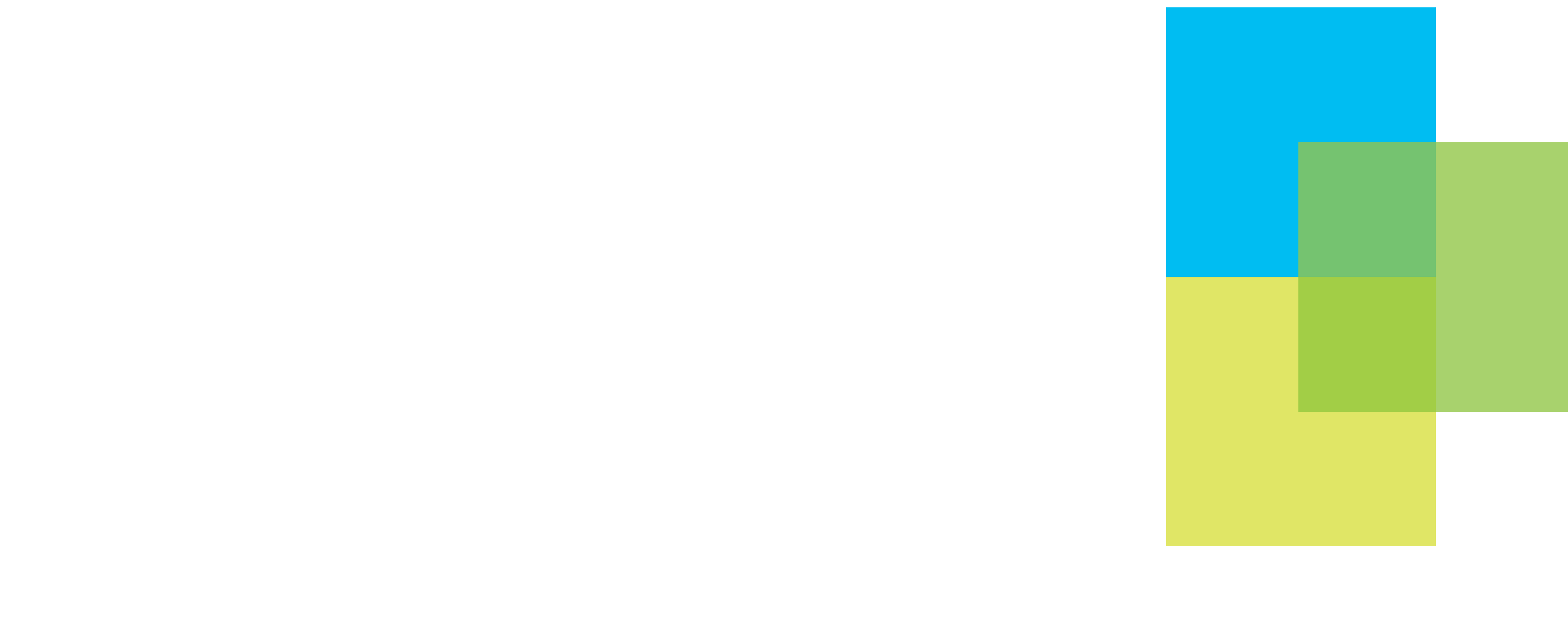 Logo PRA Group Inc.