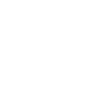 Logo RenaissanceRe Holdings Ltd.