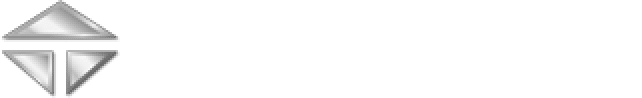 Logo Trinity Industries Inc.