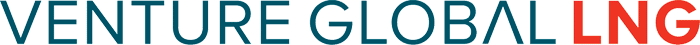 Logo VENTURE GLOBAL INC