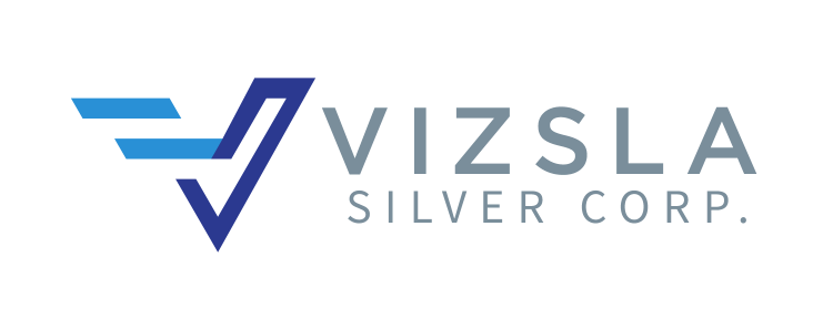 Logo Vizsla Silver Corp.