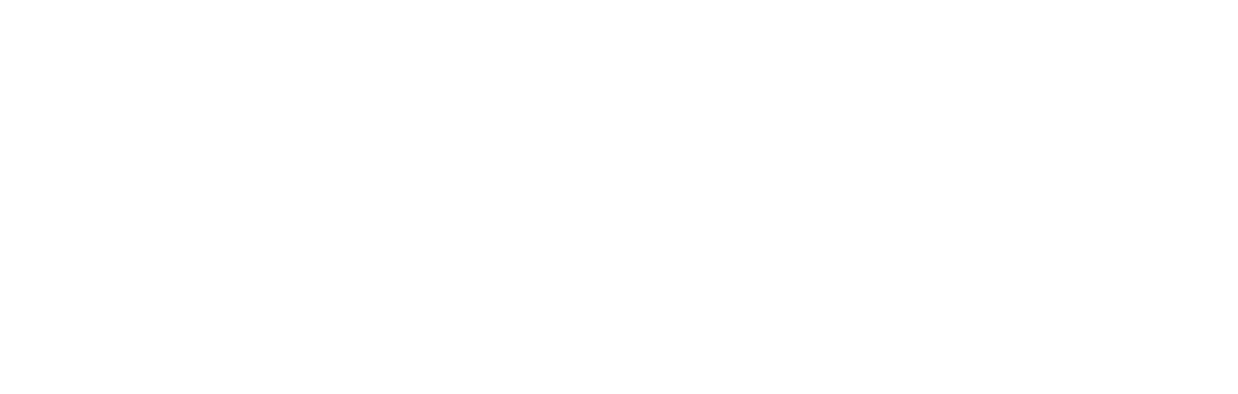 Logo Xcel Brands Inc.