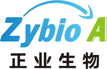 Logo ZHENGYE BIOTECHNOLOGY HLDG LTD