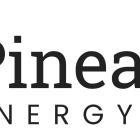 Pineapple Interim CEO Adds Shares to His Position