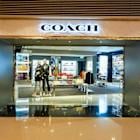 Coach Powers Tapestry's Momentum: Find Out What's Driving it