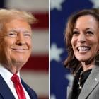 Bitcoin and gold 'have further to go' on Trump or Harris win