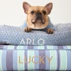 MARK & GRAHAM LAUNCHES EXCLUSIVE PERSONALIZED PET COLLECTION, BARK & GRAHAM™