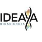 IDEAYA Biosciences Enters Exclusive License with Hengrui Pharma for SHR-4849, a Novel Phase 1 DLL3 Topo-I-Payload ADC Targeting SCLC and NET Solid Tumors