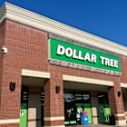 8 Best Grocery Items at Dollar Tree To Help Combat Inflation This Summer