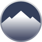 Summit Hotel Properties Inc (INN) Q1 2025 Earnings Call Highlights: Navigating Growth and Challenges