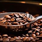 Starbucks Corporation (SBUX): One of the Best Dividend Stocks to Buy for Long-Term Passive Income