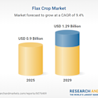 Flax Crop Market Outlook: Trends and Forecasts Through 2029 and 2034 Featuring Cargill, ADM, Bunge, and More