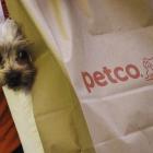 Petco Stock Soars After Roaring Kitty Fans Tout It. For the Dogs?