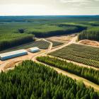 Weyerhaeuser Agrees to Sell Princeton Lumber Mill in B.C. to Gorman Group