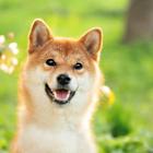Why Datadog Stock Cruised to a More Than 4% Gain Today