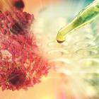 Merus Licenses US Commercialization Rights For Cancer Potential Zenocutuzumab, Analyst Highlight Merus' Pipeline