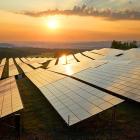 Solar Stocks Dive After Trump Orders End To Green Energy Subsidies