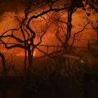 Hartford profit falls as California wildfire losses climb