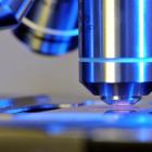CRISPR Therapeutics Q1 Earnings and Sales Miss Estimates, Stock Tanks
