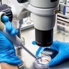 Lisata collaborates with GATC Health on drug development