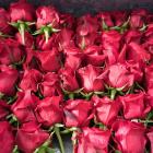 TPG on Verge of Buying Controlling Stake in Asian Flower Business Hasfarm