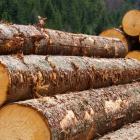 Investors Should Be Encouraged By Louisiana-Pacific's (NYSE:LPX) Returns On Capital