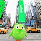 Duolingo Stock Drops As Data Shows Weakening Growth