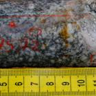 Goliath Confirms Multiple Occurrences Of Visible Gold Over A 26 Meter Interval From Newly Identified RIRG Feeder Dyke On Surebet High-Grade Gold Discovery That Remains Wide Open, Golddigger Property, Golden Triangle, B.C.