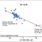 Lantern Pharma Achieves Key Milestone Towards Development of Molecular Diagnostic for use in Oncology Clinical Trials for Patient Selection and Stratification with Drug Candidate LP-184