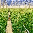 BMO Capital Maintains ‘Outperform’ Rating on The Mosaic Company (MOS); Raises PT
