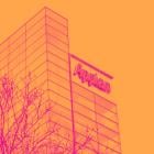 Appian (NASDAQ:APPN) Beats Q1 Sales Targets, Stock Soars