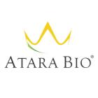 Atara Biotherapeutics Provides Update on Clinical Programs Related to EBVALLO™ (tabelecleucel) and ATA3219