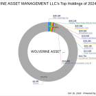 Wolverine Asset Management LLC Expands Portfolio with Israel Acquisitions Corp Stake