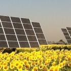 Solar energy faces stiff competition from nuclear providers