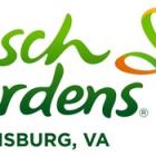 The Legacy Continues: North America's Longest Inverted Family Coaster Opens at Busch Gardens Williamsburg on May 23 with the Return of the Big Bad Wolf