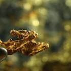 Sanatana Resources to acquire Gold Strike Two Project in Canada from LIRECA