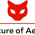 Red Cat Reports Financial Results for First Quarter 2025 and Provides Corporate Update