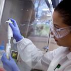 Factbox-Brazil's first bird flu case on commercial firm triggers Chinese ban