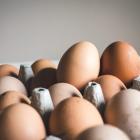 Cal-Maine pumps $40m into cage-free egg production