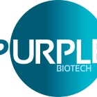 Purple Biotech Reports Positive Final Results from Randomized Phase 2 Study of CM24 in Second Line Pancreatic Cancer