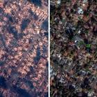 Before-and-After Satellite Images Show Devastation From L.A. Wildfires