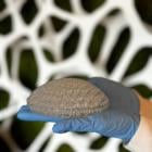 CollPlant and Stratasys Announce Pre-clinical Study for Regenerative Commercial-Sized Breast Implants