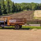 11 Best Farmland and Agriculture Stocks To Buy According to Analysts