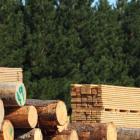 West Fraser Timber's (TSE:WFG) investors will be pleased with their favorable 67% return over the last five years