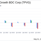 TriplePoint Venture Growth BDC Corp. Q1 2024 Earnings: A Close Look at Performance Against ...