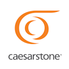 Caesarstone Ltd (CSTE) Q1 2025 Earnings Call Highlights: Navigating Challenges with Strategic ...